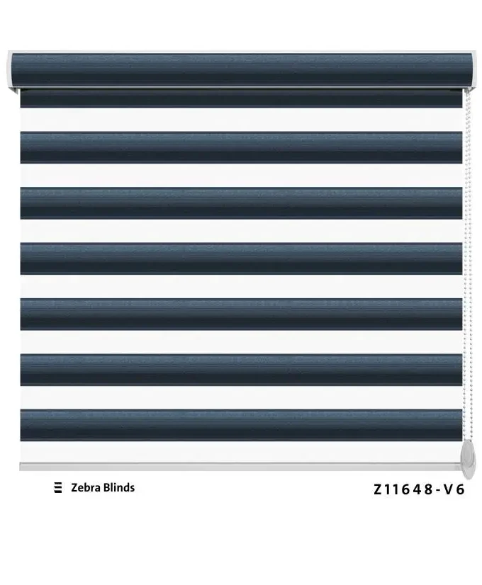 Zebra Blinds Z11648-V6
